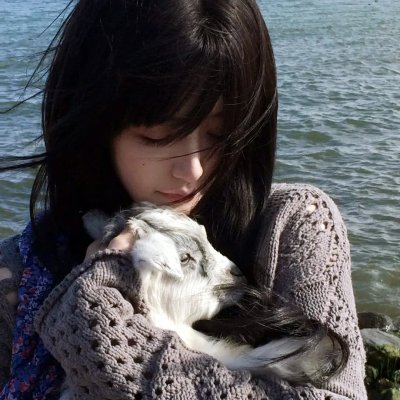 动态漫画·月魁传